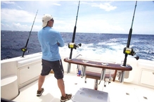 Chasing marlin in Cap Cana