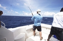 Patrick hooked up several white marlin, dolphin and yellowfin tuna 