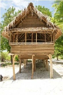 A hut in the PNG village