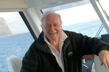Ian Reynolds on board his Riviera 56 'Investigator IV'