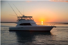 The 56 Open Flybridge will make its first Queensland appearance at the Sanctuary Cove International Boat Show
