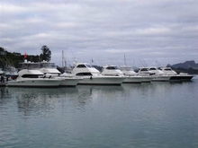 Rivieras lined up for the tournament