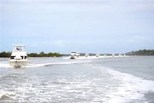 The Riviera fleet cruises to Kooringal, Moreton Island
