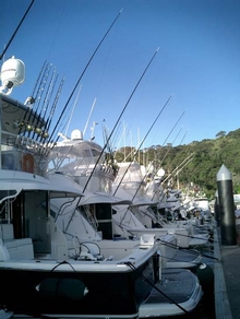 The fleet of Rivieras before the tournament