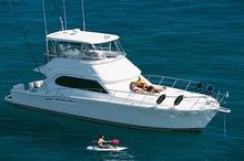 The 51 Open Flybridge