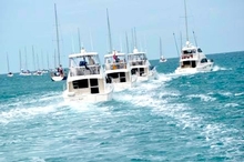 Nine days in the stunning tropical with R Marine Crawley Circle Whitsundays Experience. <strong>See the full picture galley below of this event</stong>