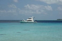 Investigator IV at Papua New Guinea