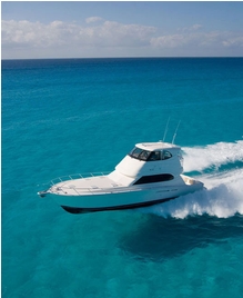 The 51 with IPS boasts greater acceleration with lower noise levels