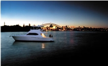 Sleek, dynamic and elegant