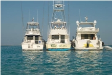 Bimini centre
