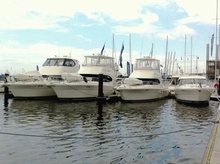 Six of Riviera's current models were on display at Victoria's largest outdoor lifestyle event