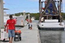 Enjoy prawns direct from the trawler at the 3rd annual Prawns, Wine and Beer on the Pier