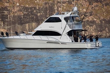 Riviera Flybridge 'Immigrant'