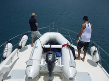 Check all tender tie downs and check the outboard, battery and fuel levels