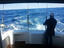 The maiden voyage was the ultimate fishing adventure for the crew who caught a yellow fin tuna, two blue sharks and almost landed a huge marlin